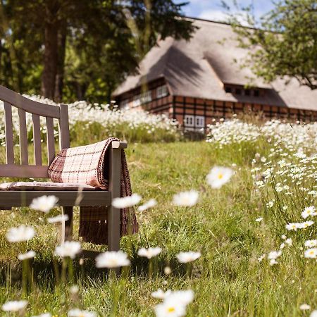 Park Am See X Nattika Ayurveda, Hotel Health Spirit Penzlin Exterior foto