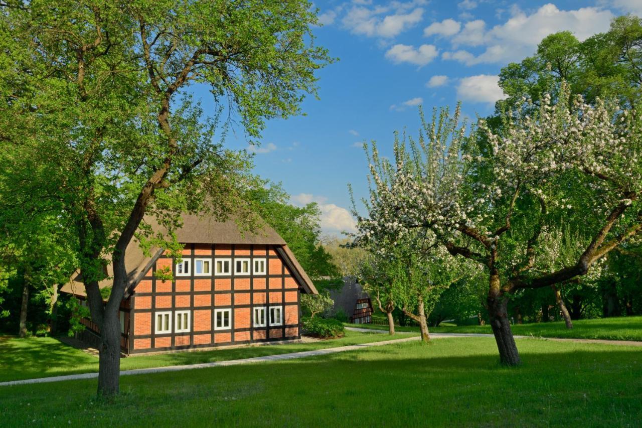 Park Am See X Nattika Ayurveda, Hotel Health Spirit Penzlin Exterior foto